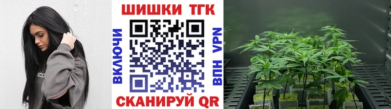 Канабис сатива  дарнет шоп  Новохопёрск 